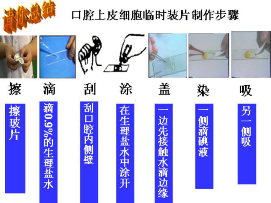 《细胞的生活》课件1.ppt_第2页