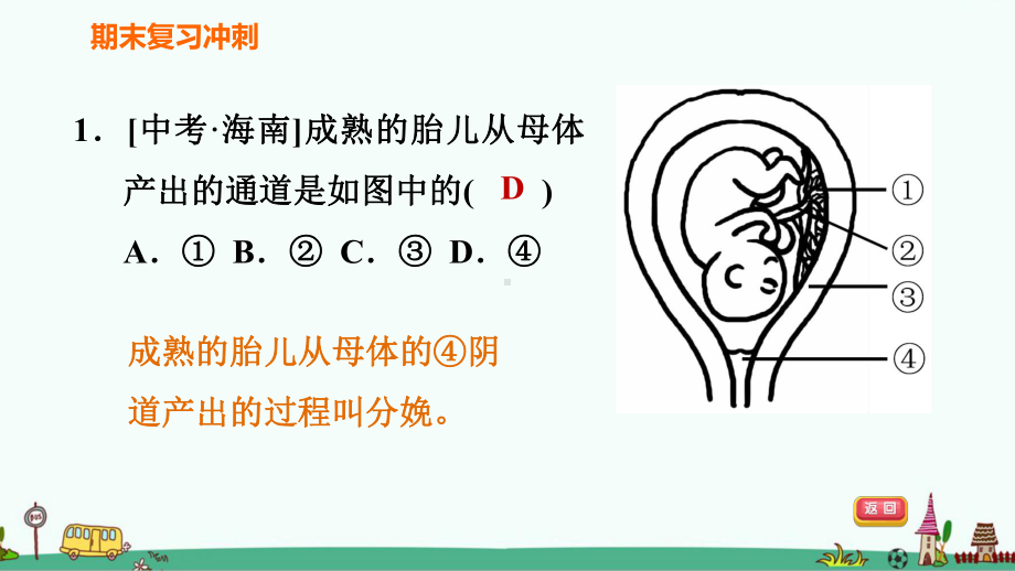 人教版七年级生物下册第四单元 生物圈中的人《识图学生物》习题课件.ppt_第2页