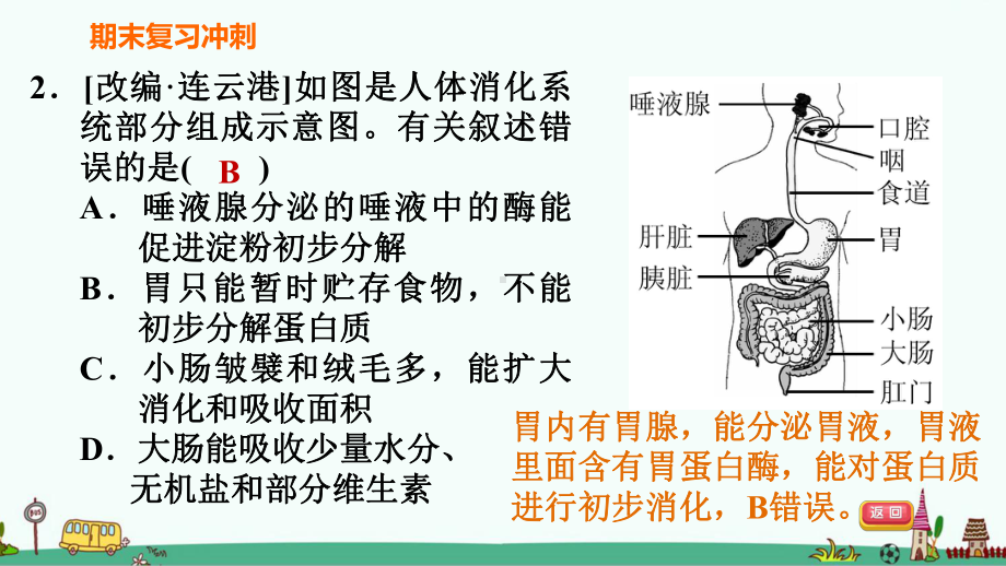 人教版七年级生物下册第四单元 生物圈中的人《识图学生物》习题课件.ppt_第3页