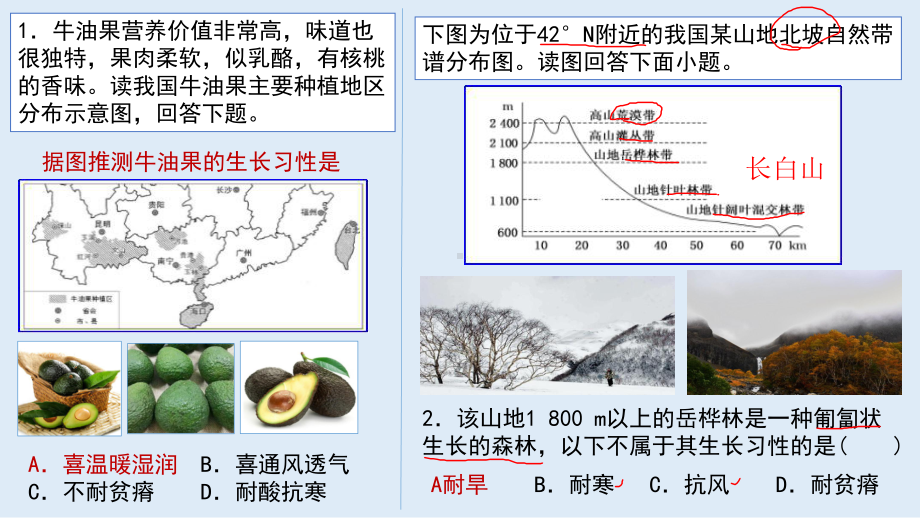 2021届高考复习微考点2农作物生长习性课件.pptx_第2页