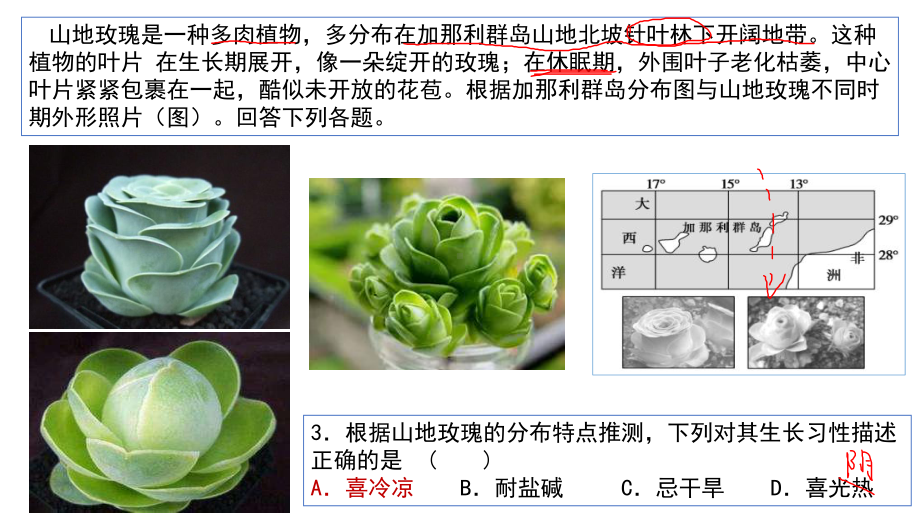 2021届高考复习微考点2农作物生长习性课件.pptx_第3页