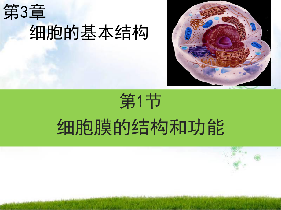 《细胞膜的结构和功能》新教材1课件.ppt_第1页