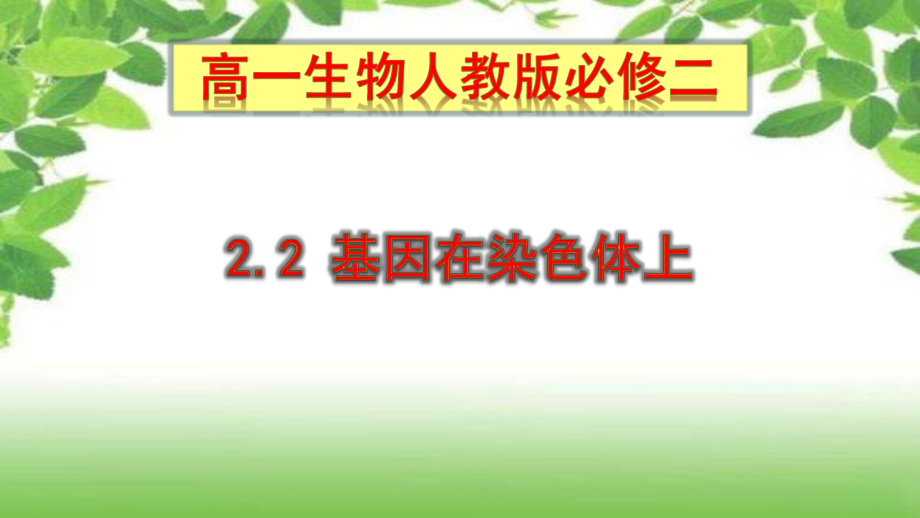 人教版新教材《基因在染色体上》2课件.pptx_第1页