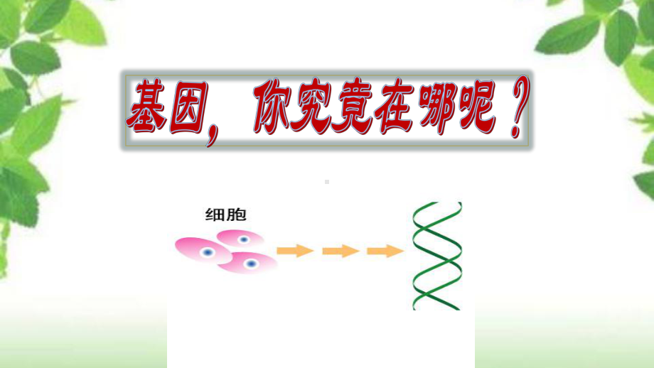 人教版新教材《基因在染色体上》2课件.pptx_第2页