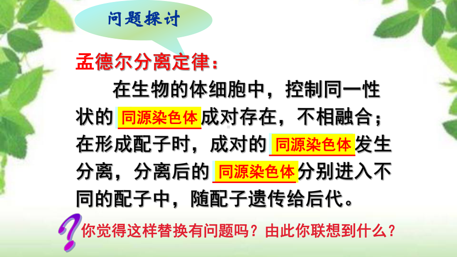 人教版新教材《基因在染色体上》2课件.pptx_第3页