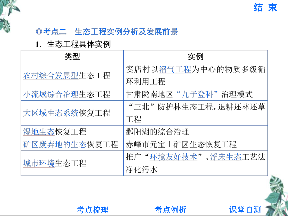 124生态工程教学课件 2021届高三高考生物一轮复习考点突破.ppt_第3页