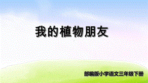 习作：我的植物朋友教材1课件.ppt