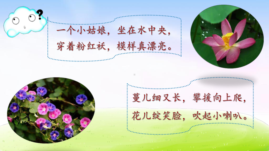 习作：我的植物朋友教材1课件.ppt_第2页