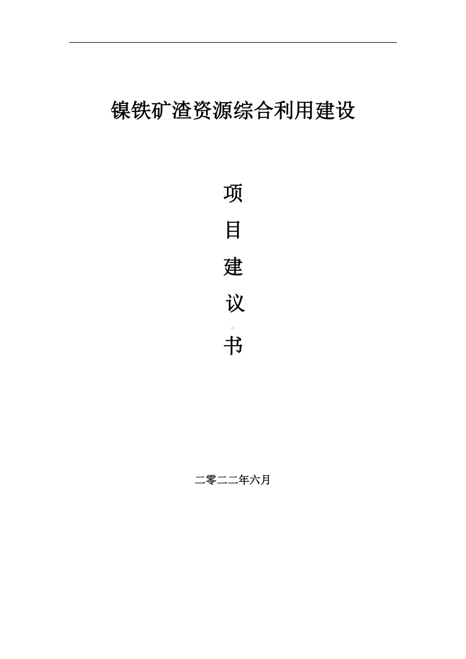 镍铁矿渣资源综合利用项目建议书（写作模板）.doc_第1页