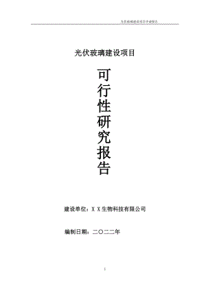 光伏玻璃项目可行性研究报告备案申请模板.doc