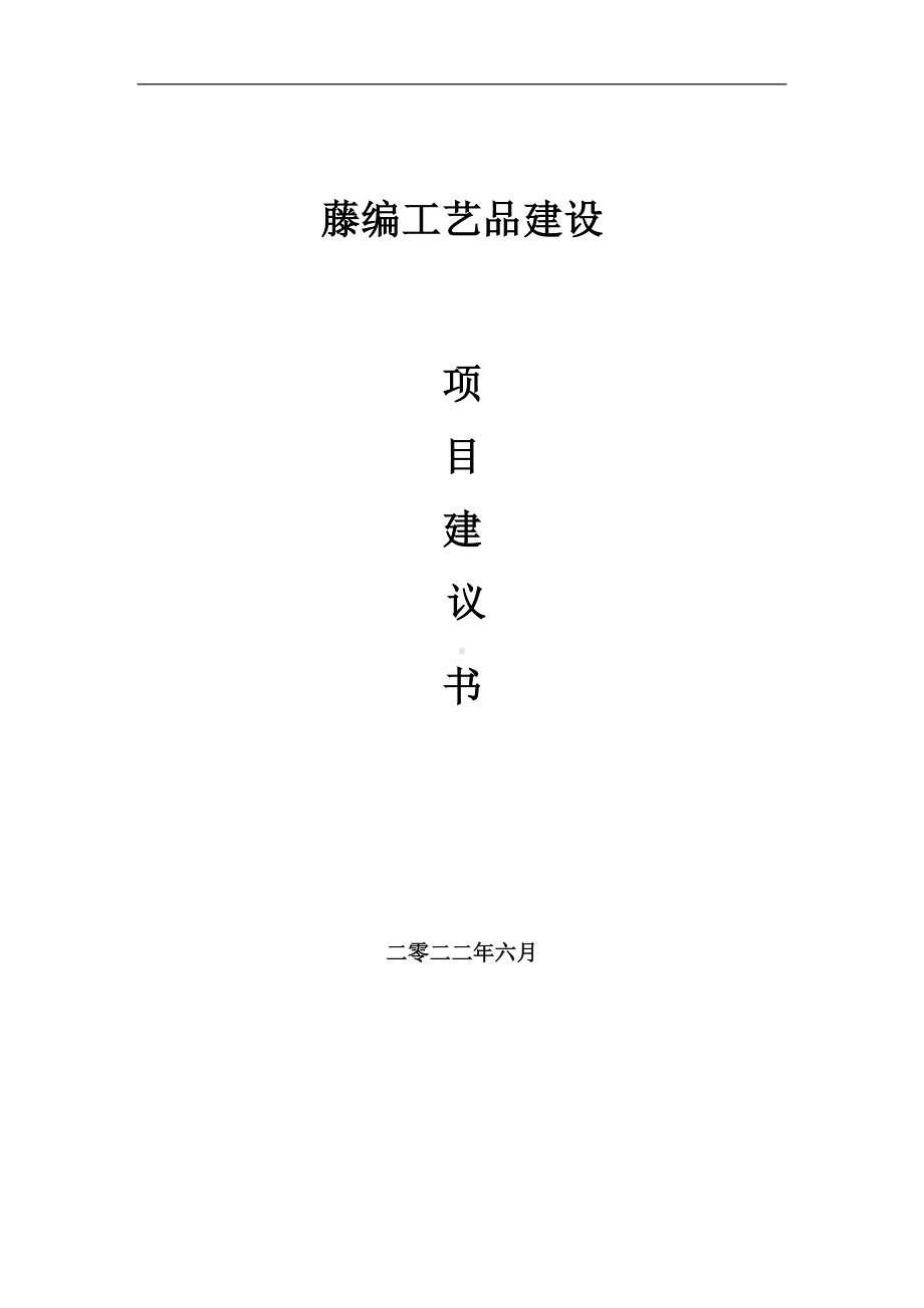 藤编工艺品项目建议书（写作模板）.doc_第1页