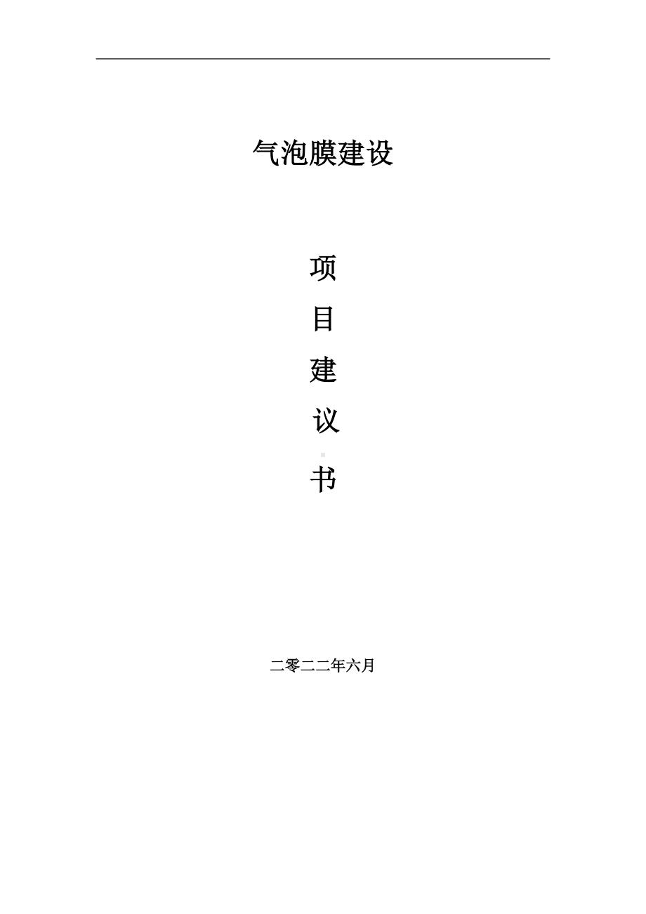 气泡膜项目建议书（写作模板）.doc_第1页