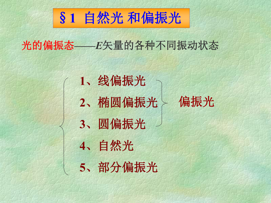 §1自然光和偏振光学习培训模板课件.ppt_第2页