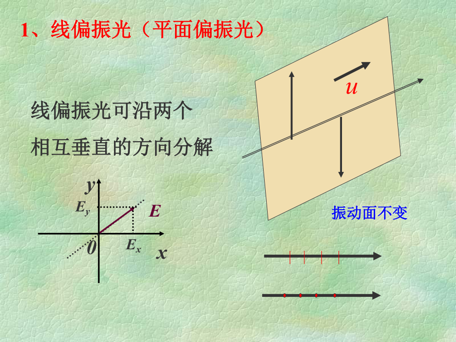 §1自然光和偏振光学习培训模板课件.ppt_第3页