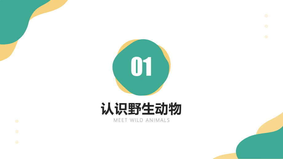 保护野生动物从我做起主题班会认识野生动物PPT课件（带内容）.pptx_第3页