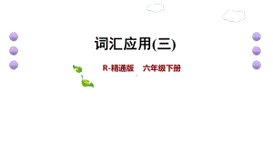 六年级下册英语课件-小升初复习-词汇应用(三) (共11张PPT)人教精通版.ppt