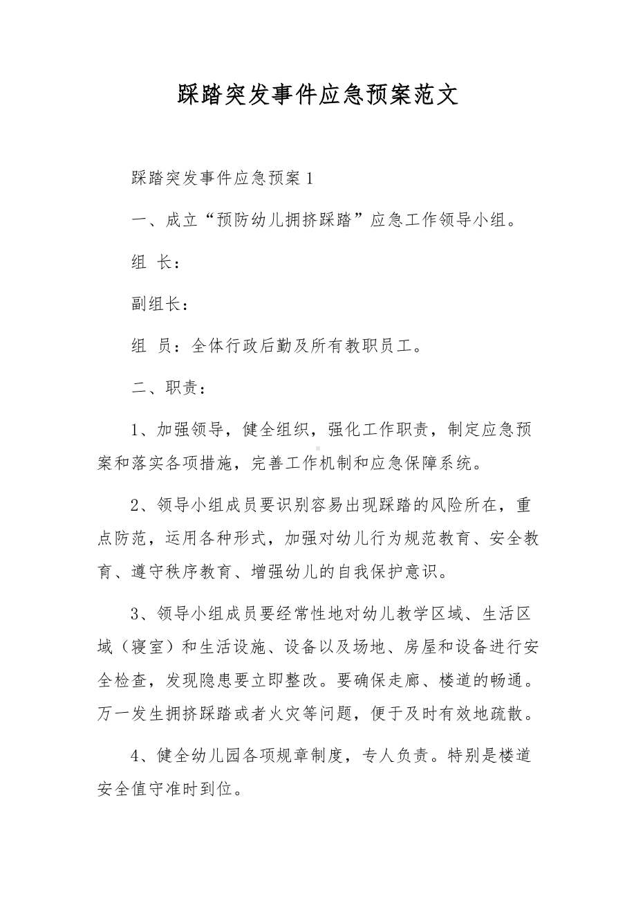 踩踏突发事件应急预案范文.docx_第1页