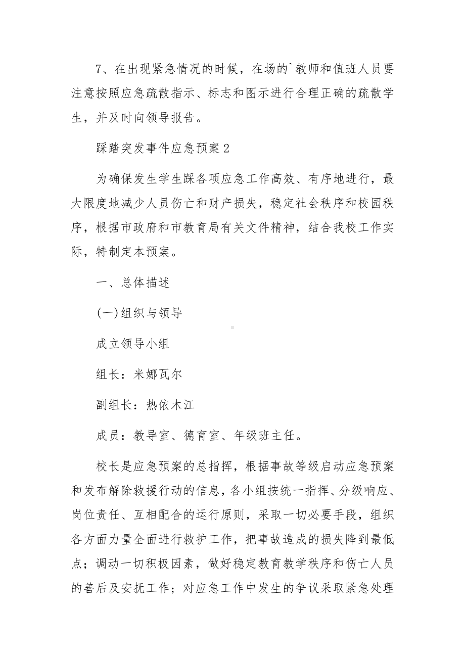 踩踏突发事件应急预案范文.docx_第3页