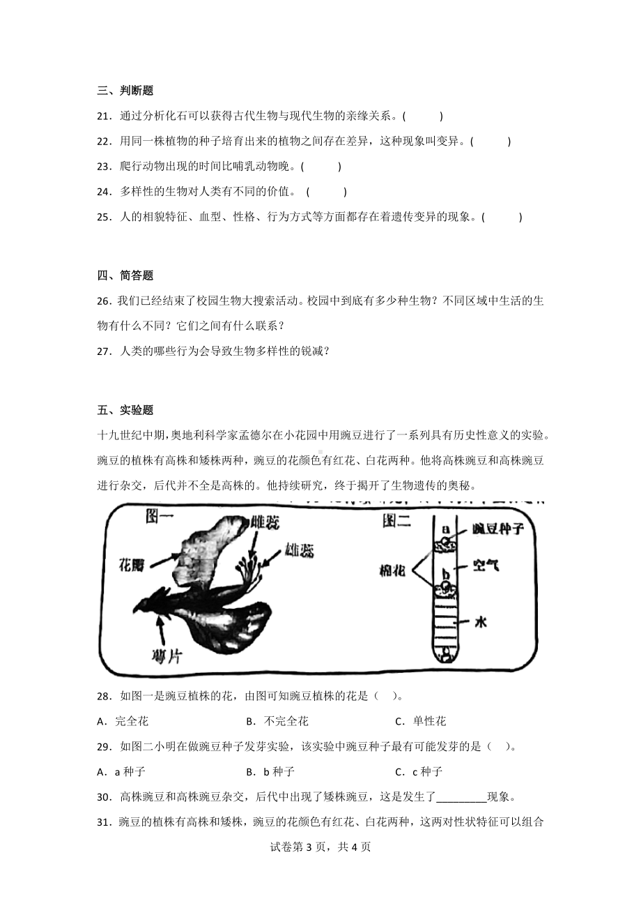 教科版六年级科学（下）第二单元综合测试卷（2套）含答案.doc_第3页