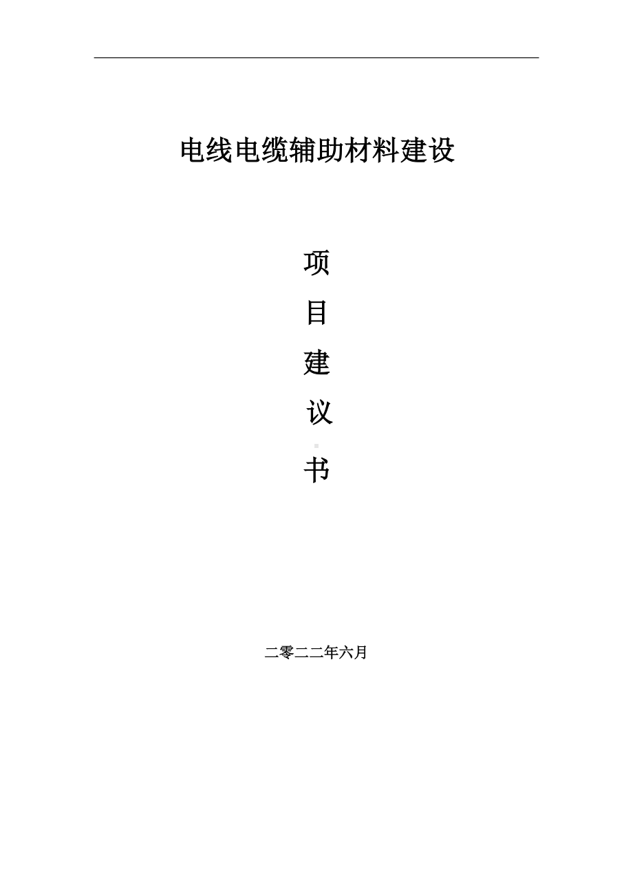 电线电缆辅助材料项目建议书（写作模板）.doc_第1页