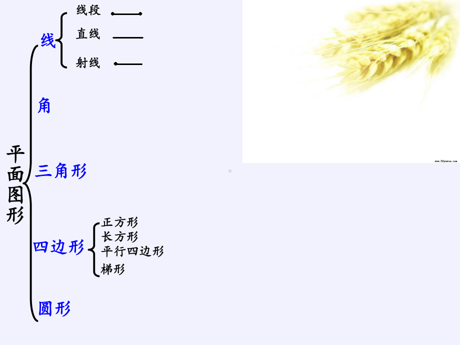 六年级数学下册课件-6.2.1 图形的认识与测量-人教版(共14张PPT).pptx_第2页