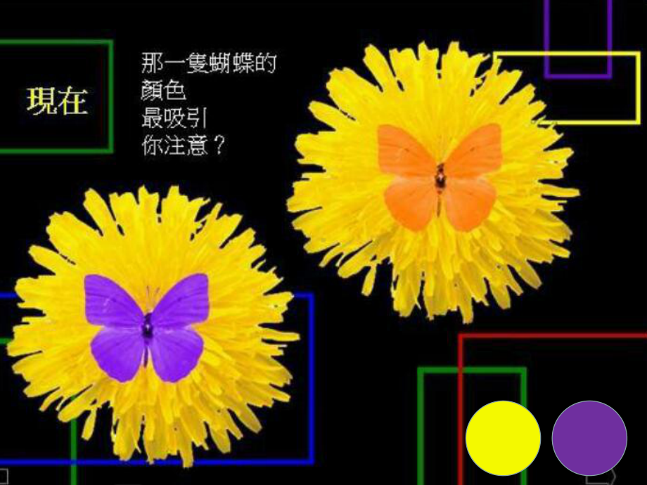 五年级上册美术课件－1色彩的对比 人教新课标(共16张PPT).pptx_第3页