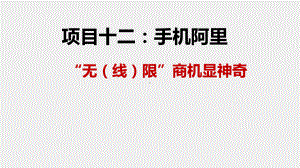 《B2B网络交易实务》课件及习题项目十二：手机阿里.pptx