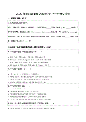 2022年河北省秦皇岛市抚宁区小升初语文试卷.docx