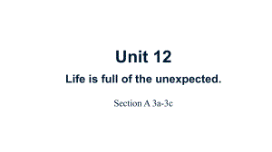 Unit12 Section A3a-3c 课件2022-2023学年人教新目标英语九年级全册.pptx（纯ppt,可能不含音视频素材）