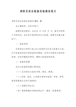 消防及安全检查自检报告范文.docx