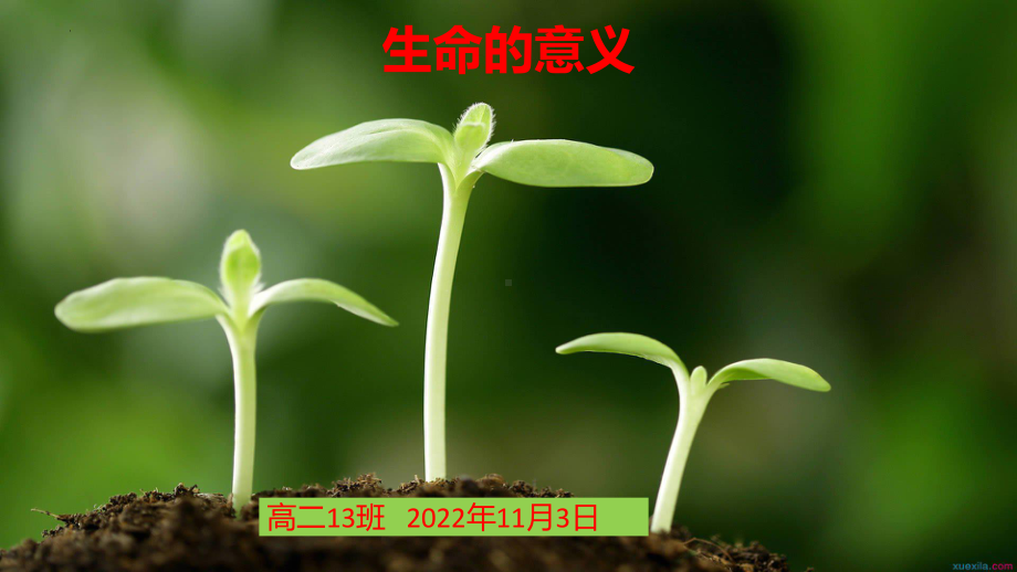 珍惜生命、热爱生活 ppt课件-2022高中生命教育主题班会.pptx_第1页