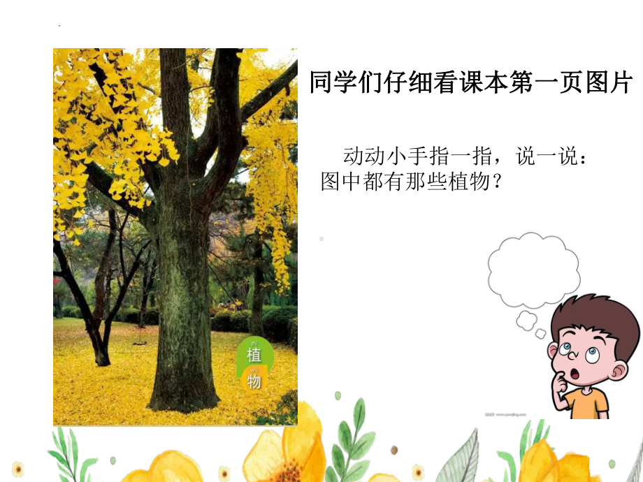 教科版一年级上册科学1.1《我们知道的植物》教学课件.pptx_第2页