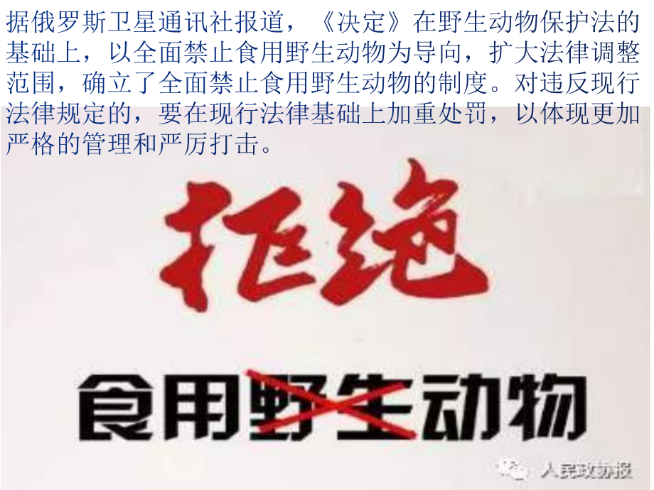 八年级下学期禁食野味保护野生动物主题班会（17张）ppt课件.ppt_第3页