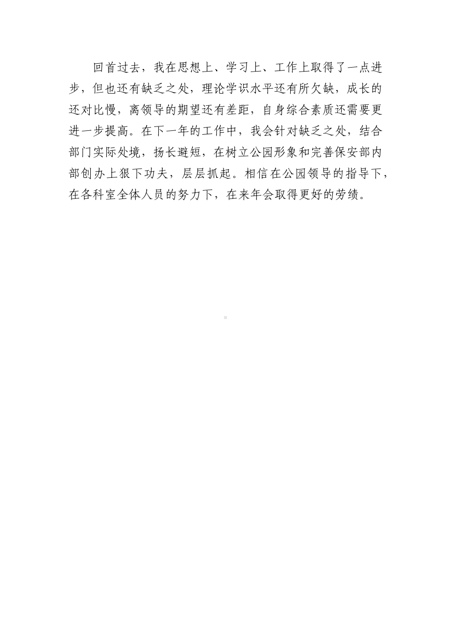 公园保卫科个人工作总结.docx_第2页