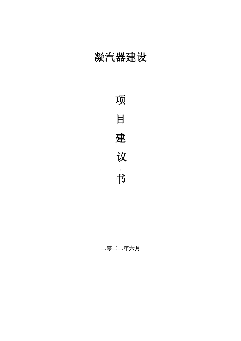 凝汽器项目建议书（写作模板）.doc_第1页