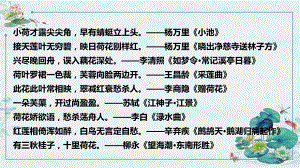 14-2《荷塘月色》ppt课件92张-（部）统编版《高中语文》必修上册.pptx