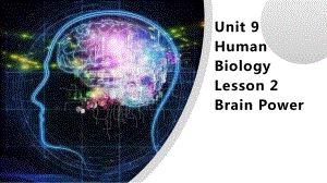 Unit 9 Human Biology Lesson 2 Brain Power （ppt课件）-2022新北师大版（2019）《高中英语》选择性必修第三册.pptx