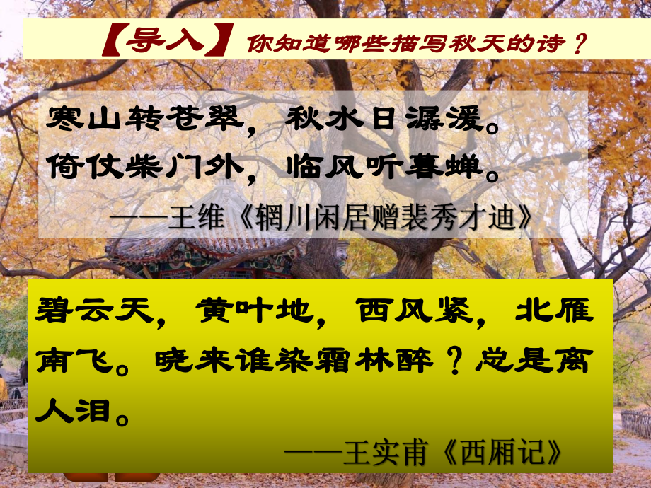 14.1《故都的秋》ppt课件29张-（部）统编版《高中语文》必修上册.pptx_第2页