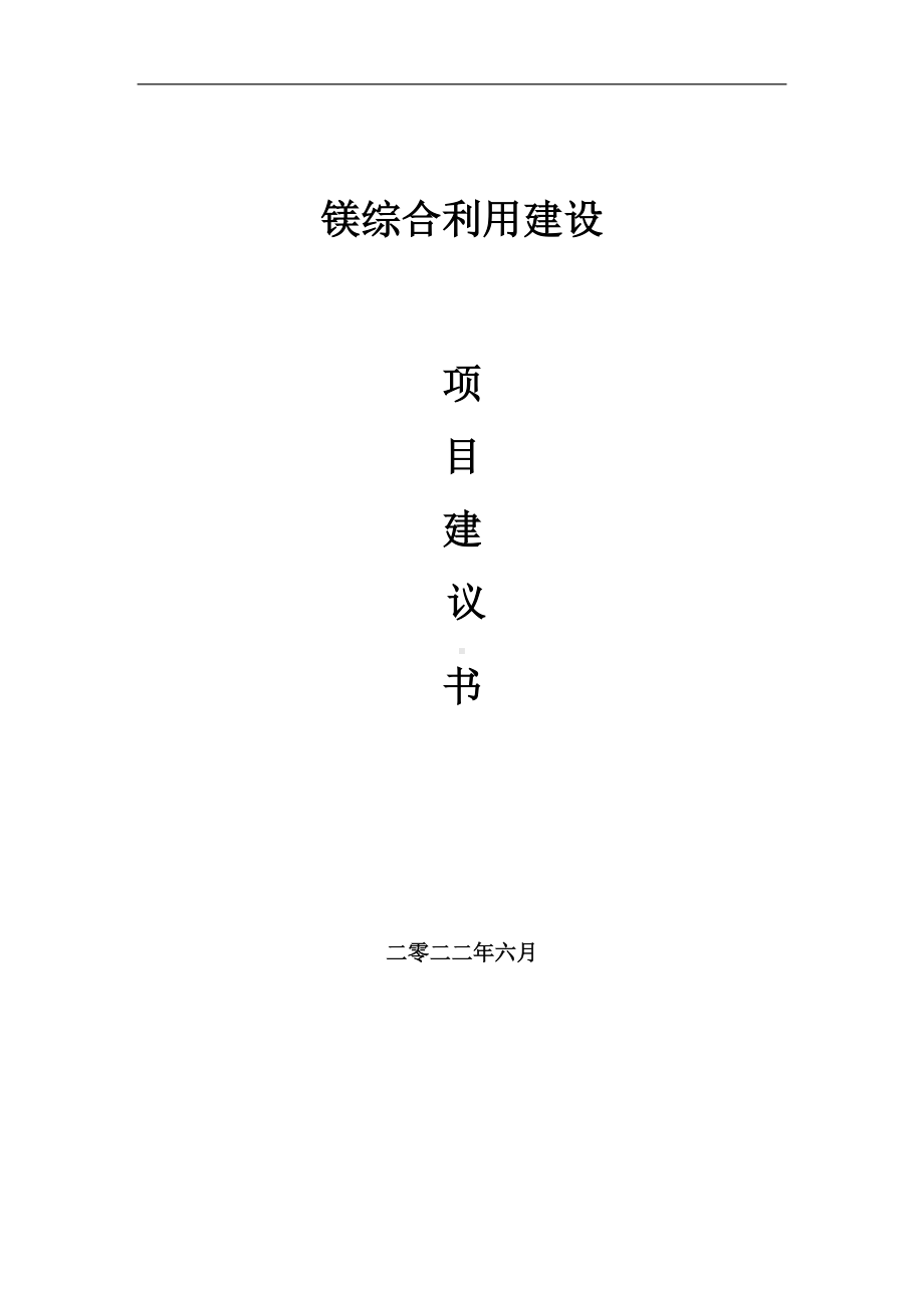 镁综合利用项目建议书（写作模板）.doc_第1页