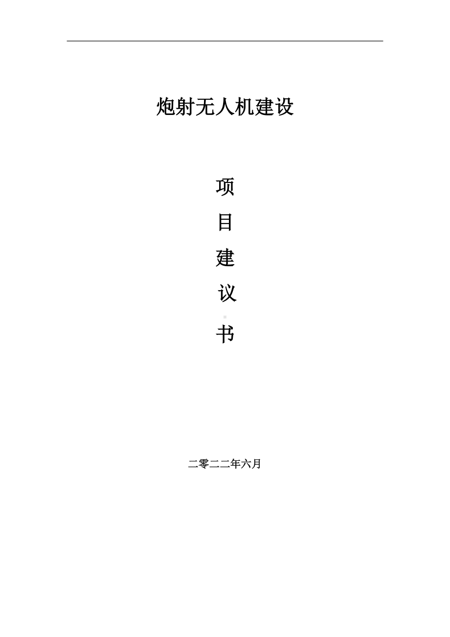 炮射无人机项目建议书（写作模板）.doc_第1页