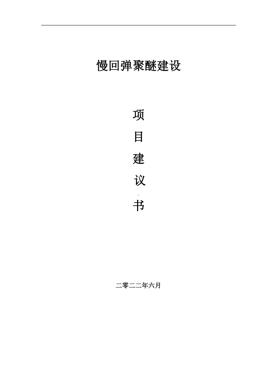 慢回弹聚醚项目建议书（写作模板）.doc_第1页