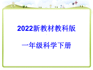 [教科版]一年级下科学1.《发现物体的特征》课件.pptx