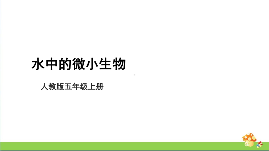 [人教版]五年级上科学3.8《水中的微小的生物》教学课件.pptx_第1页