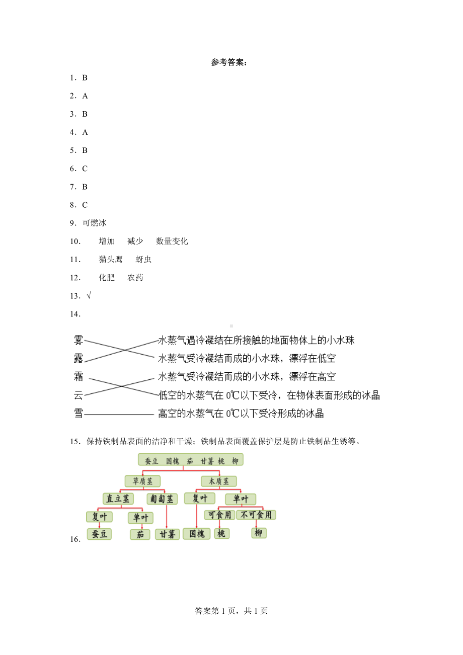 2022新人教鄂教版六年级上册《科学》期末综合练习（含答案）.doc_第3页