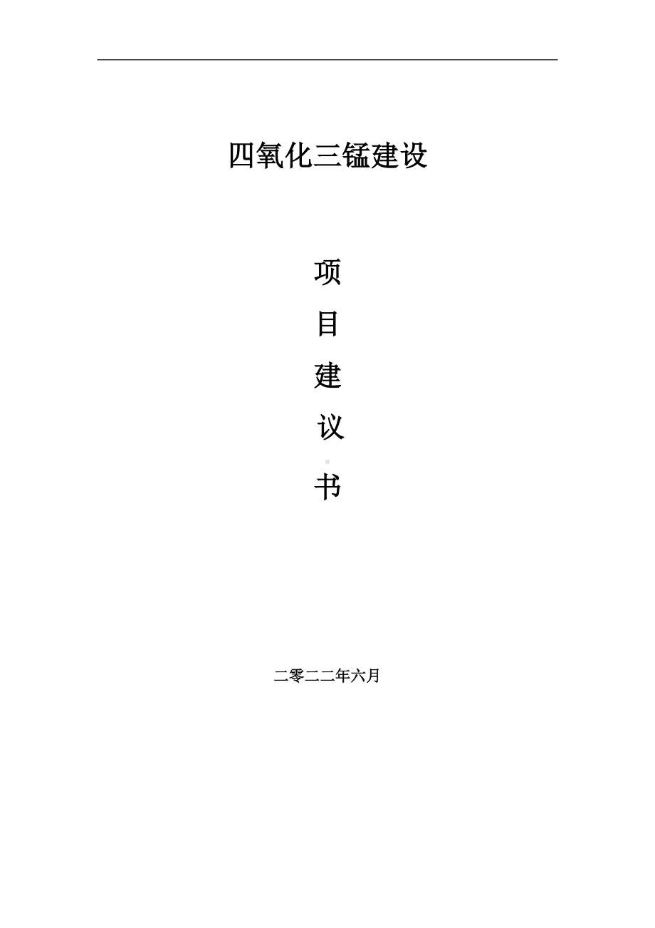 四氧化三锰项目建议书（写作模板）.doc_第1页