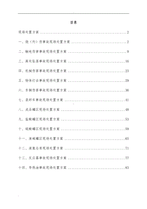 化工企业事故现场处置方案汇编范本参考模板范本.doc