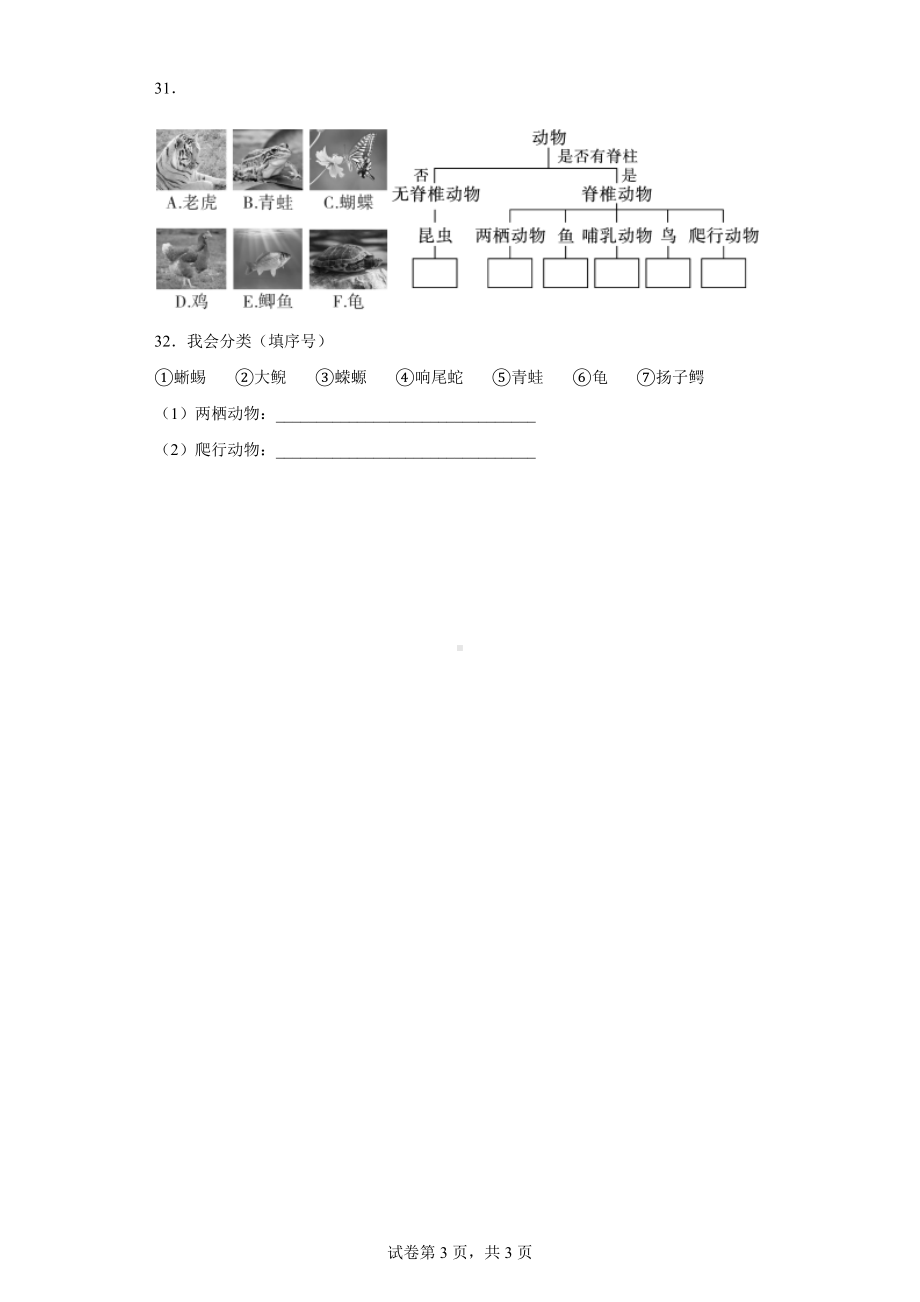 2022新人教鄂教版四年级上册《科学》第二单元 动植物的繁殖 单元练习（word版 含答案）.docx_第3页