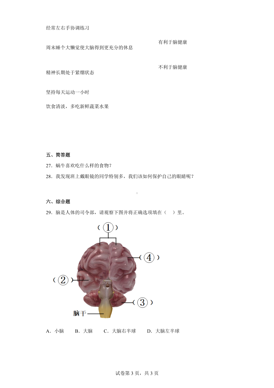 2022新大象版五年级上册《科学》第二单元过关测试题人体司令部（一）含答案.docx_第3页