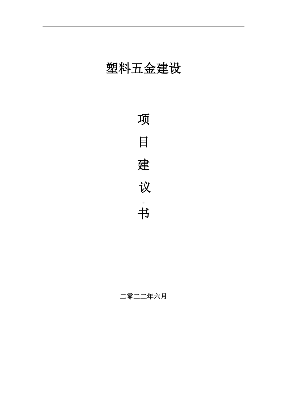 塑料五金项目建议书（写作模板）.doc_第1页