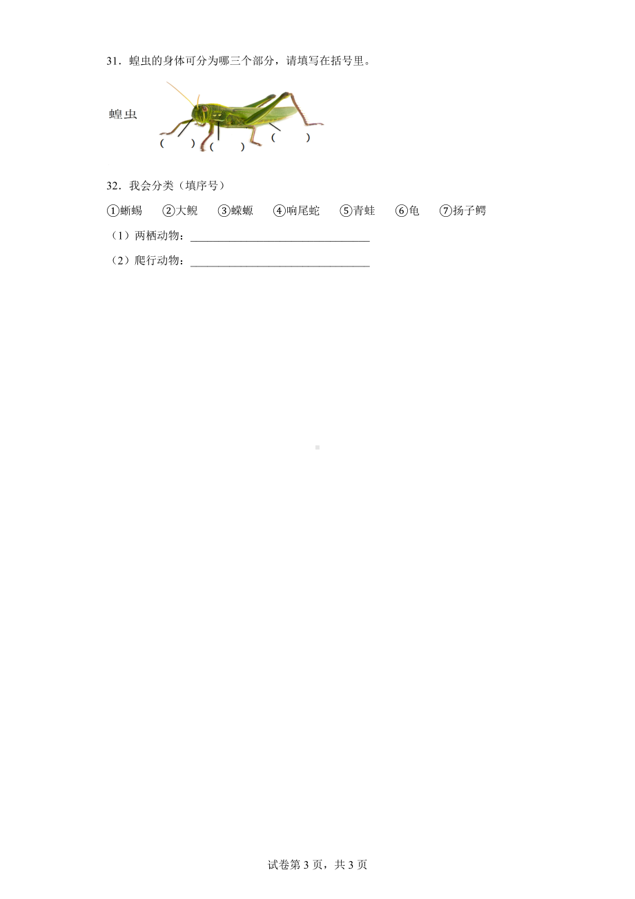 2022新人教鄂教版四年级上册《科学》第一单元 多样的动物单元练习（word版 含答案）.docx_第3页